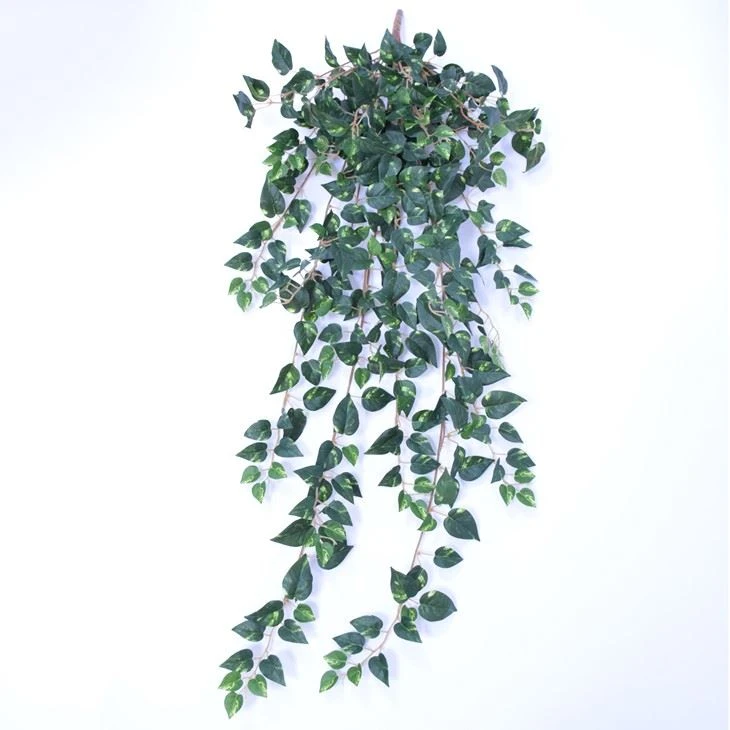 artificial variegated leaf plants